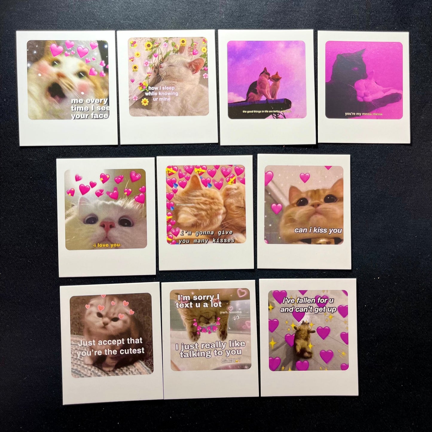 Cat Polarides set