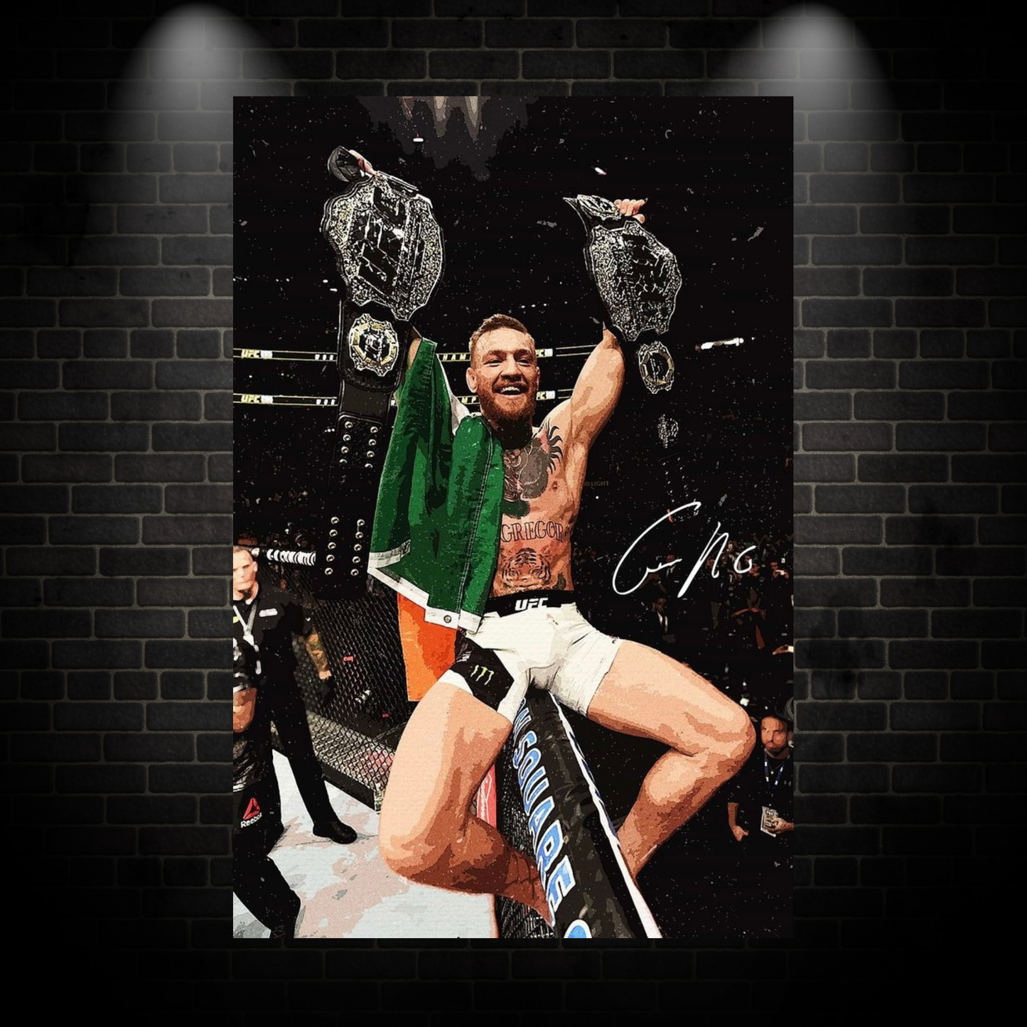 Ufc fighter poster 2