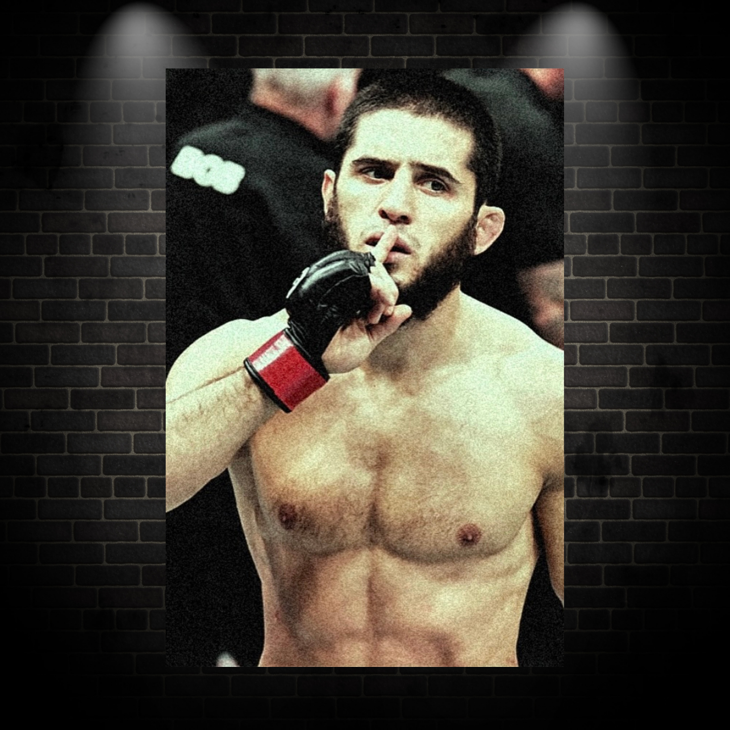 Ufc fighter poster