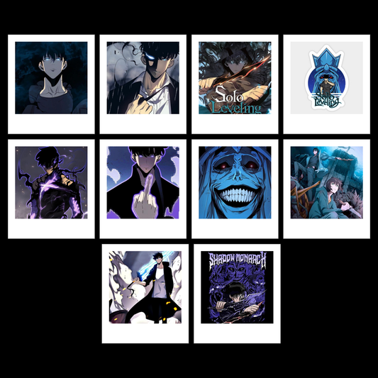Solo Leveling Polarides set